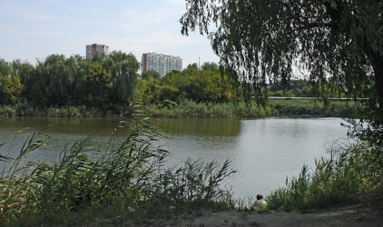 В Ростовской области на расчистку участка балки Темерника направят 147,5 млн рублей