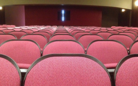 В Ростовской области прибыль кинотеатров упала в два раза